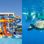 Top 10 Things to do with Family in Oahu - 6