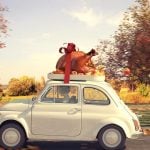 How to Plan the Perfect Thanksgiving Family Trip - 7