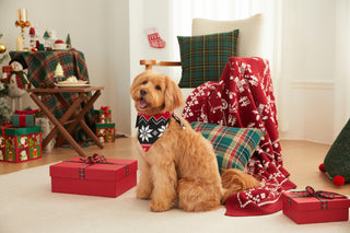 how do you dress a dog for christmas Amazon.com : Dog Christmas Dress Dog Christmas Costumes Girl Snowman Stretchy Pet Dress Funny Pet Costumes Puppy Clothes with Bowtie Outfit for Small Dogs Cats Puppy(S) : Pet Supplies