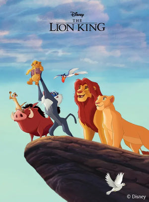 Disney Lion King Clothes