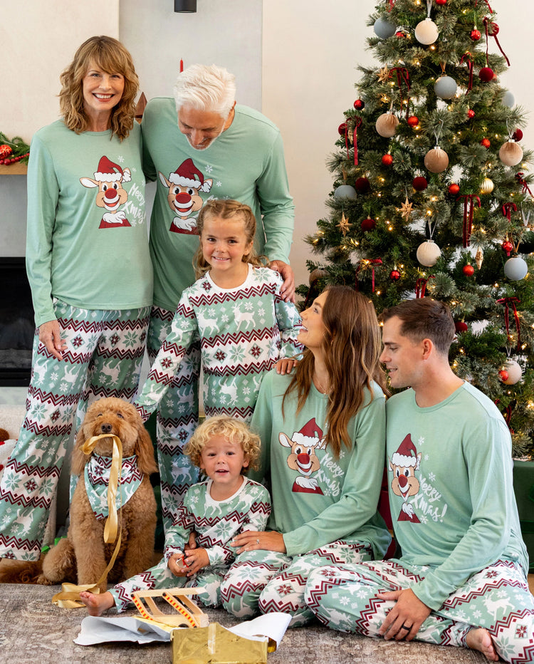 Conjunto de pijama familiar navideño a juego con estampado navideño de copos de nieve y calcetines navideños verde pálido