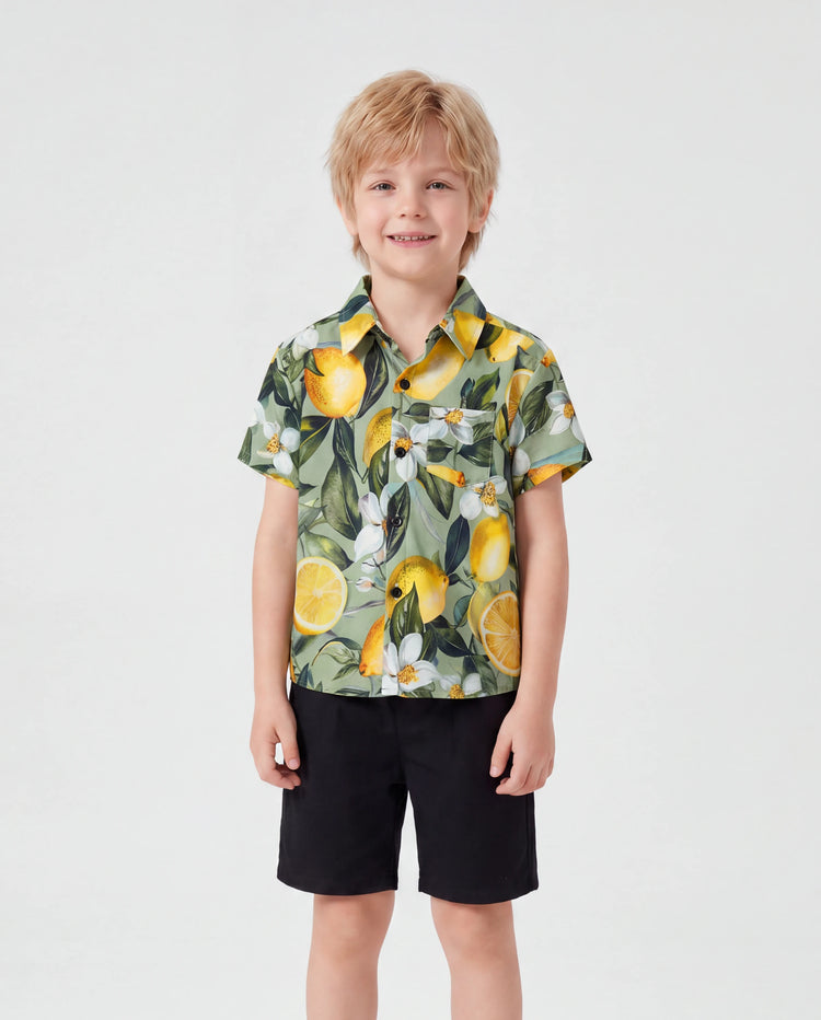 Conjuntos Daddy & Son – Camisas hawaianas con estampado de limón – Ropa tropical para vacaciones para hombres y niños Verde