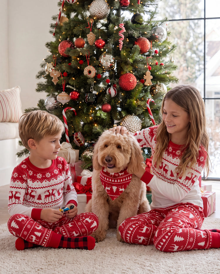 Christmas Reindeer and Snowflake Print Family Matching Pajamas Sets with Christmas Socks Red