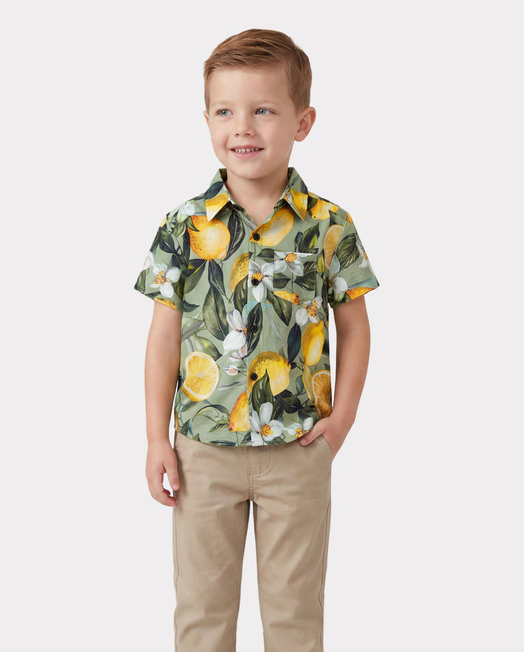 Matching Family Outfits Lemon Print Hawaiian Shirts & Summer Dresses Tropical Vacation Clothes for Men, Women & Kids Green