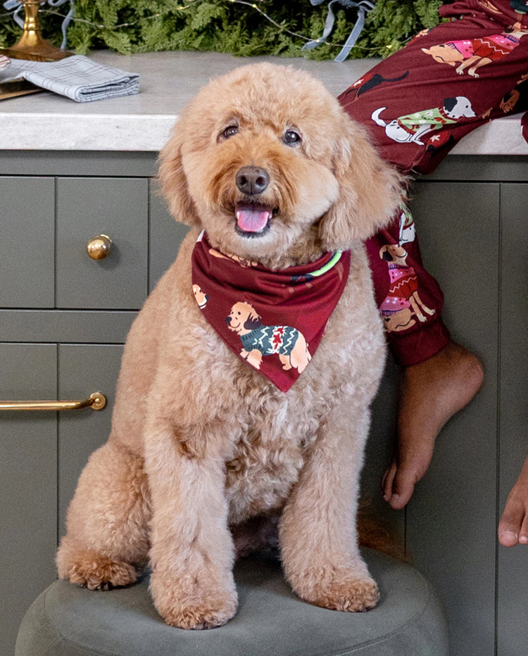 Christmas Matching Family Pajamas Festive Dog Print Burgundy