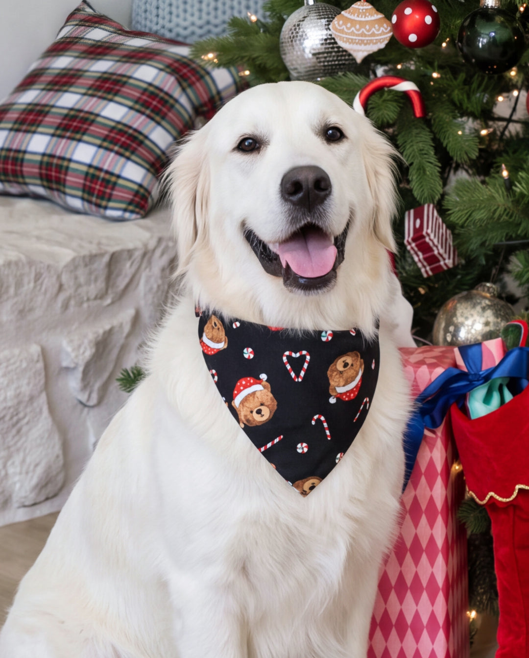 Pyjamas de Noël assortis pour la famille, imprimé ours, noir