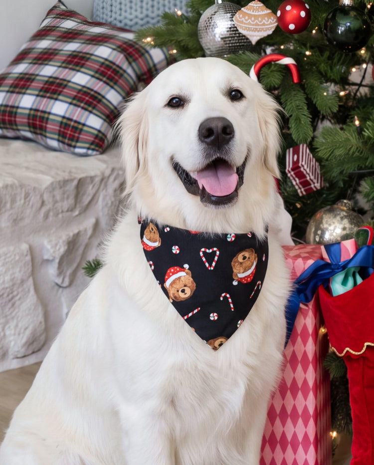 Pyjamas de Noël assortis pour la famille, imprimé ours, noir