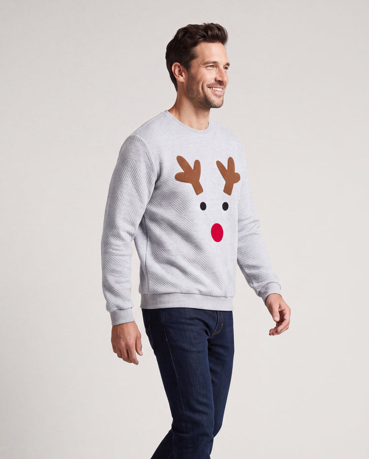 Sweat-shirt à manches longues pour toute la famille, motif renne brodé, gris