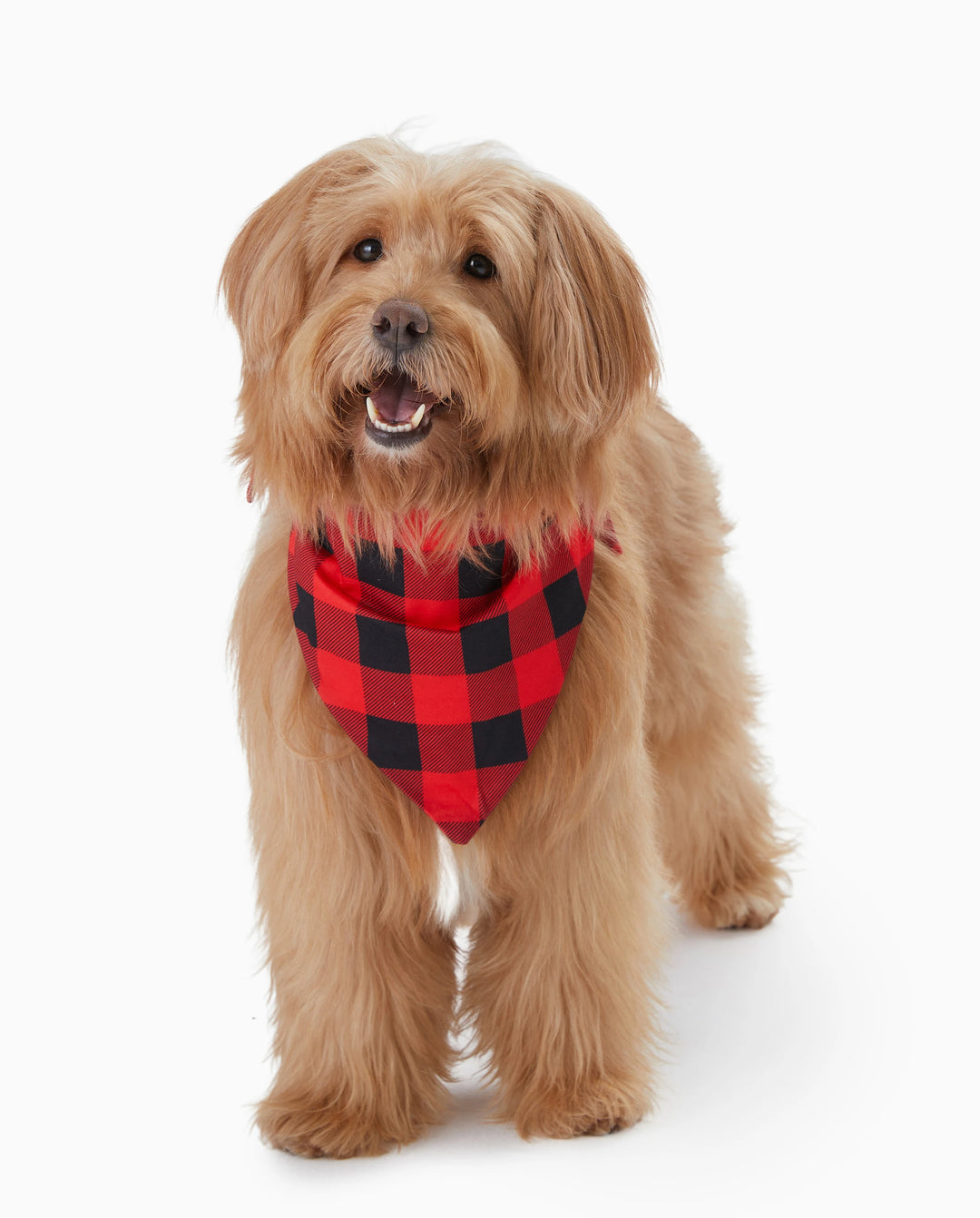 Pijama familiar navideño a juego con estampado de Papá Noel, mangas raglán y calcetines navideños (certificado SGS) en rojo