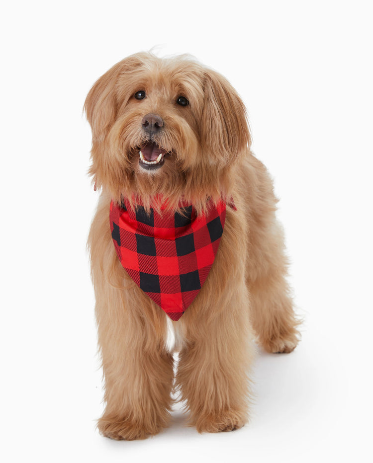 Pijama familiar navideño a juego con estampado de Papá Noel, mangas raglán y calcetines navideños (certificado SGS) en rojo