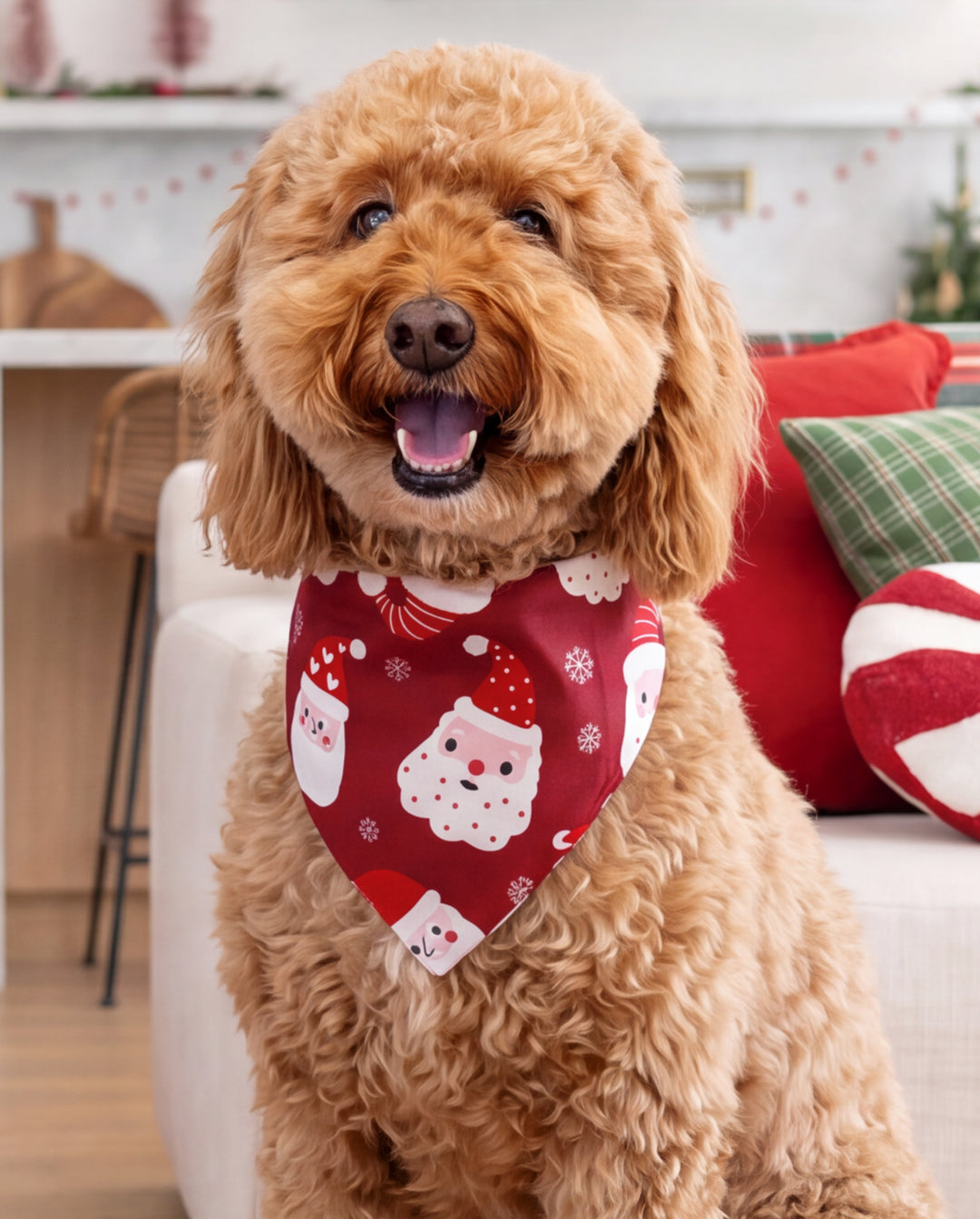 Rote Weihnachts-Schlafanzüge im Partnerlook für die ganze Familie mit „Lieber Weihnachtsmann“-Aufdruck