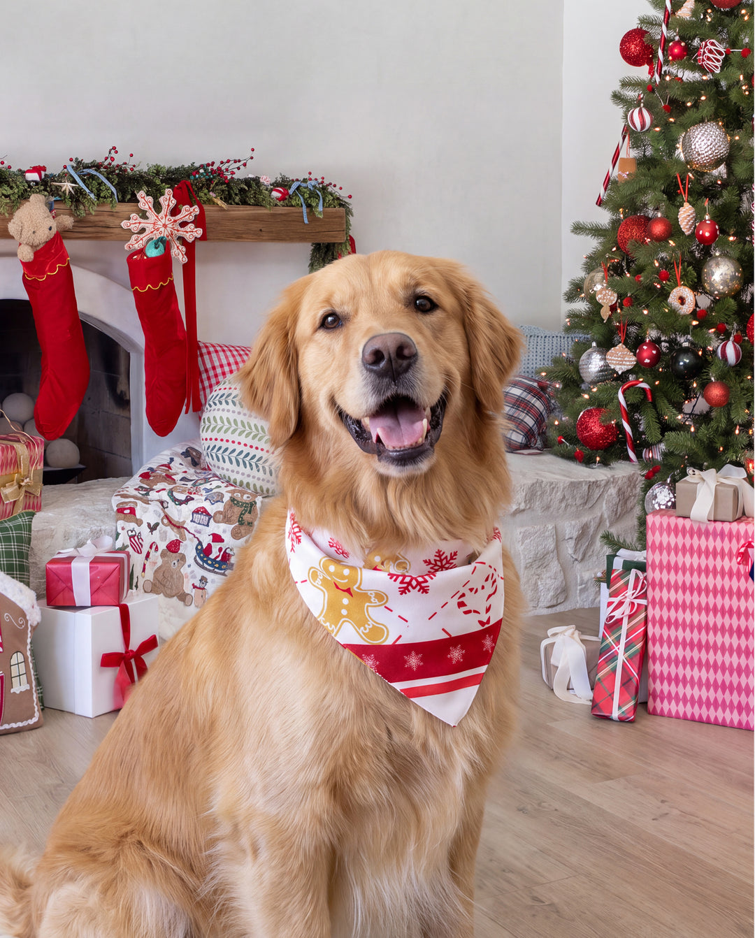 Pyjamas de Noël assortis pour toute la famille, imprimé pain d’épice, vert