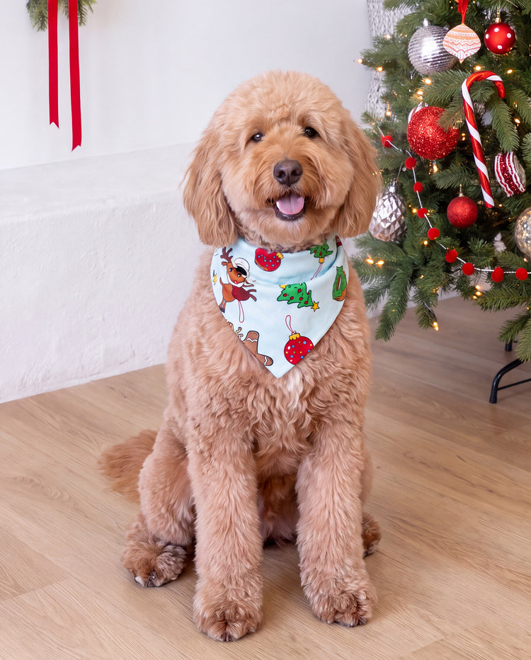 Christmas Matching Family Pajamas Santa & Xmas Tree Print Teal