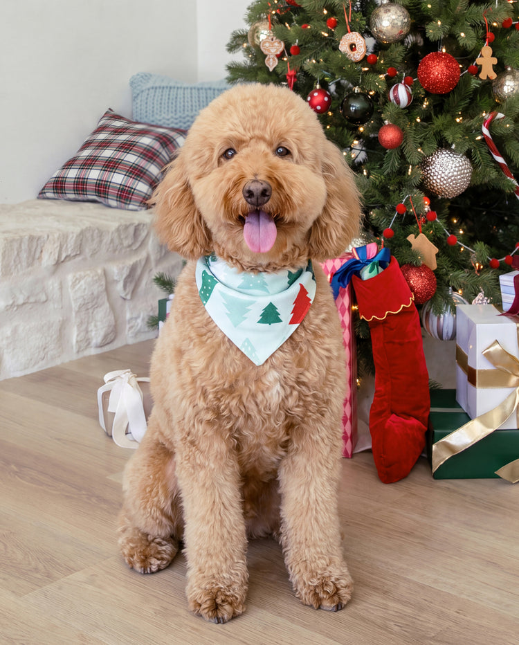 Pyjamas assortis pour toute la famille de Noël, motif sapin de Noël bleu