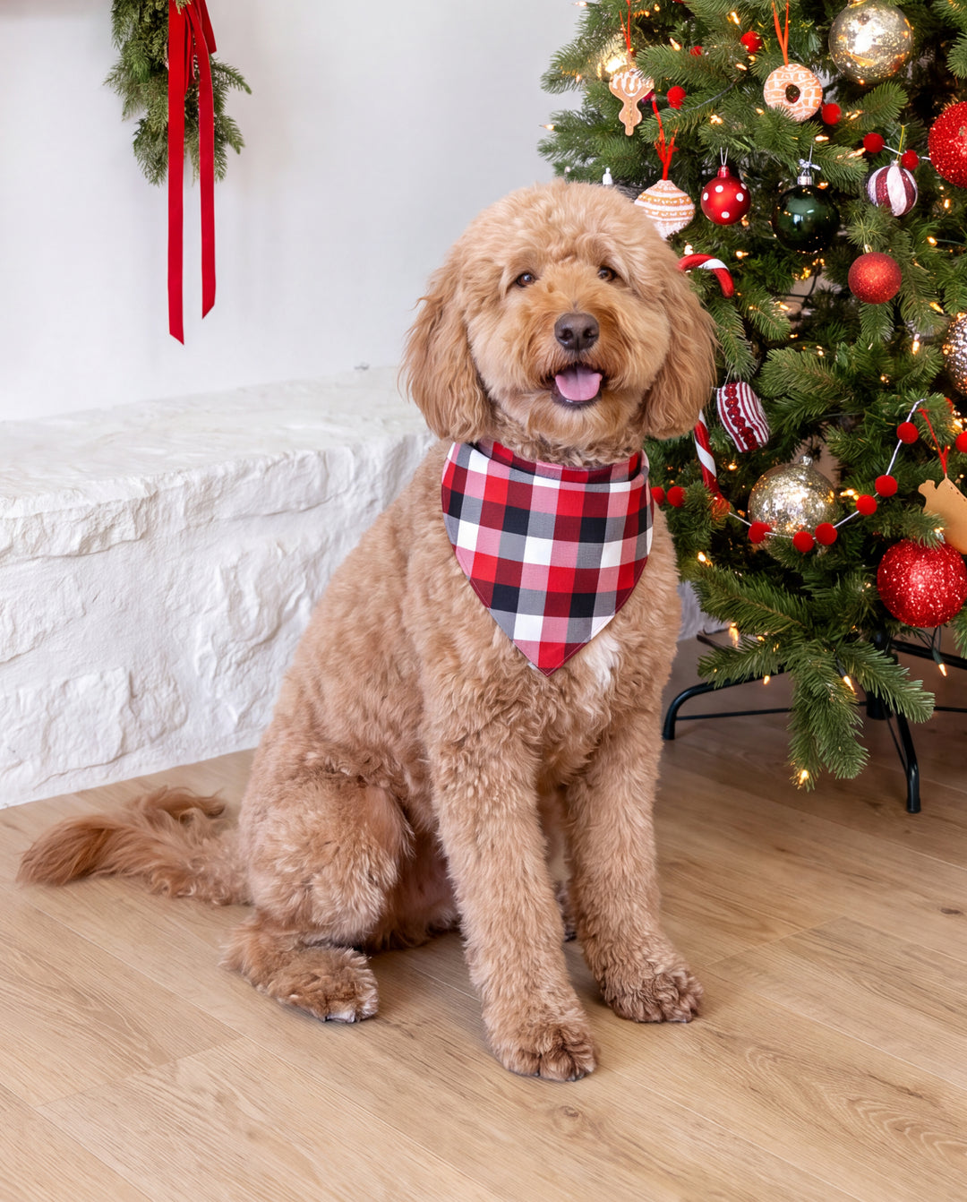Christmas Matching Family Pajamas Gingerbread & Plaid Print Red
