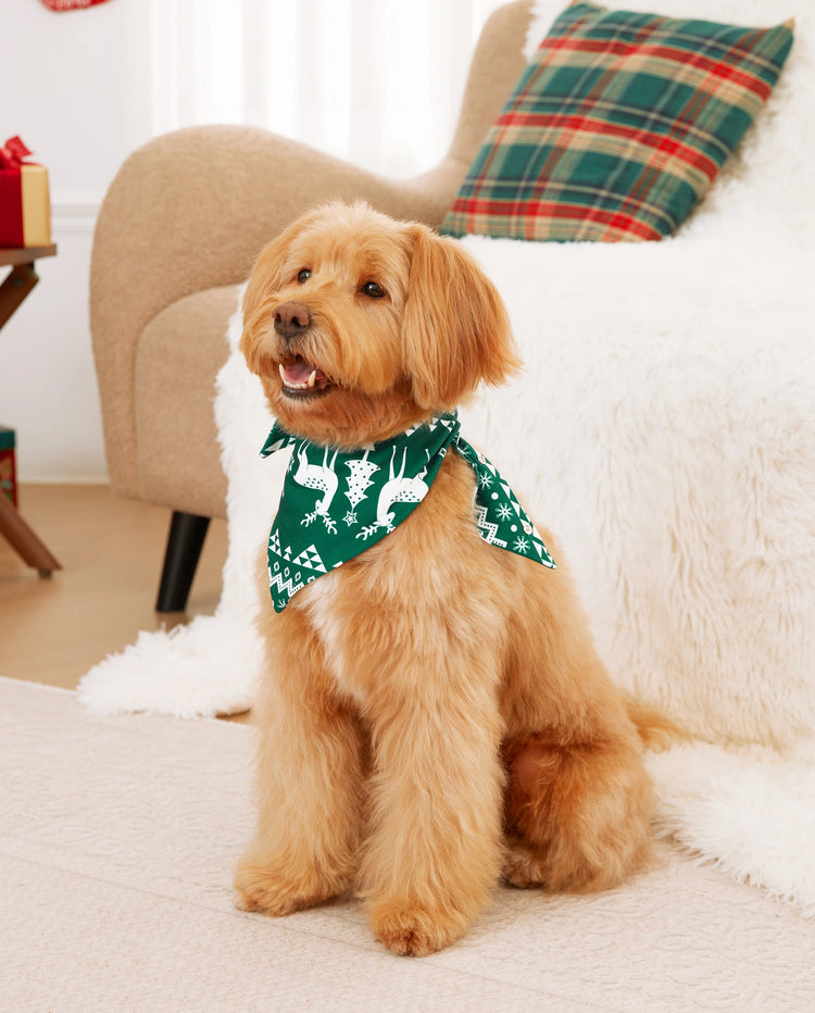 Conjunto de pijama familiar navideño con renos que brillan en la oscuridad, pantalones con estampado completo y calcetines navideños de color verde negruzco.