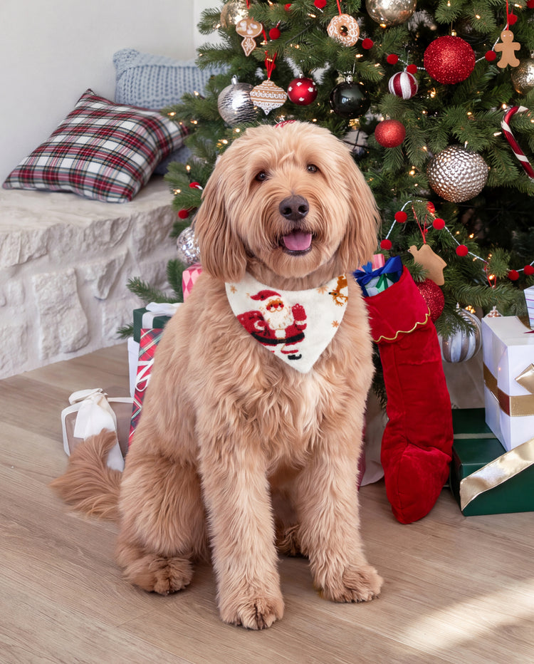 Pijamas navideños a juego para toda la familia con estampado de renos y árboles de Navidad, forro polar