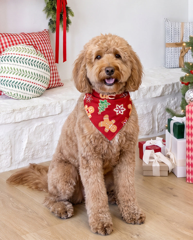 Christmas Gingerbread Family Matching Pajamas