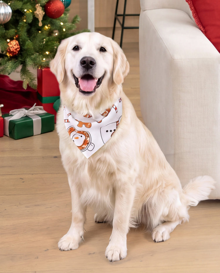 Weihnachts-Pyjamas im Familien-Partnerlook, Tassen- und Schneemann-Print, Khaki