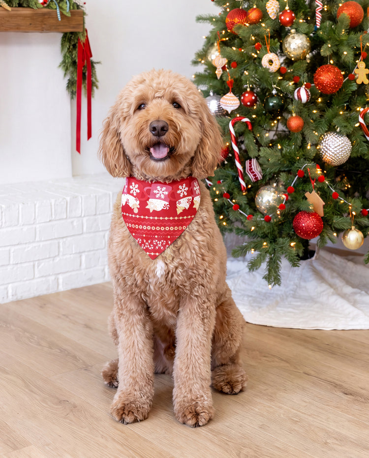 Weihnachtliche Familienpyjamas im Partnerlook mit Fair-Isle- und Tassenmotiv in Rot
