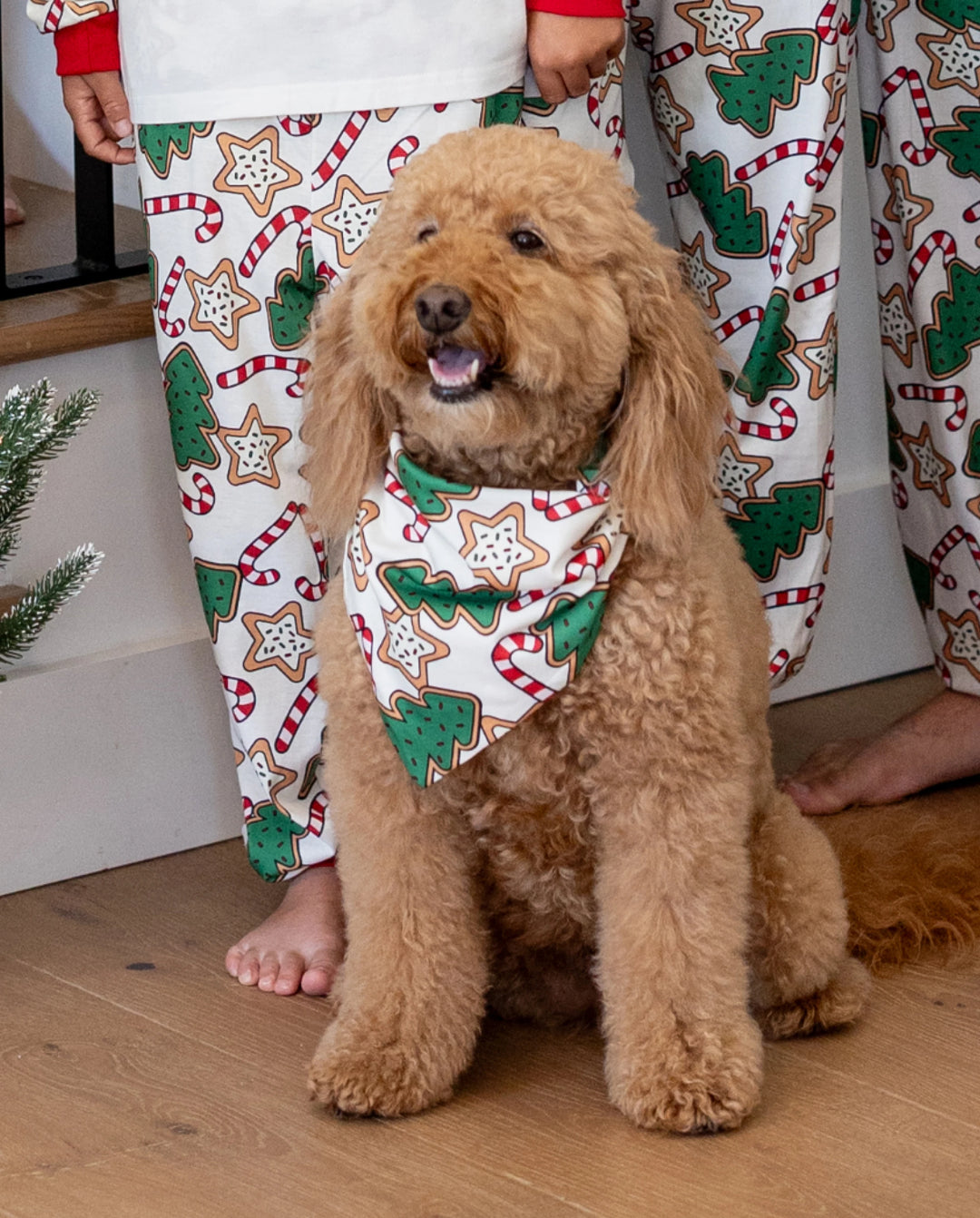 Ensemble pyjama de Noël assorti pour toute la famille, imprimé sapin de Noël rouge et abricot, avec chaussettes de Noël abricot