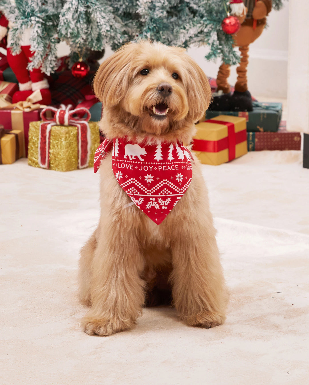 Pijamas familiares a juego con estampado navideño tradicional y calcetines navideños rojos