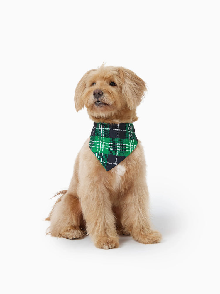 Weihnachts-Passendes Familienpyjama-Set SANTA'S Cutiest ELF Letterprint Langärmeliger grüner Gitterpyjamas mit Weihnachtssocken grün