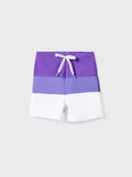 Toddler Boy Color-block Swim Trunks (Quick-Dry) ColorBlock