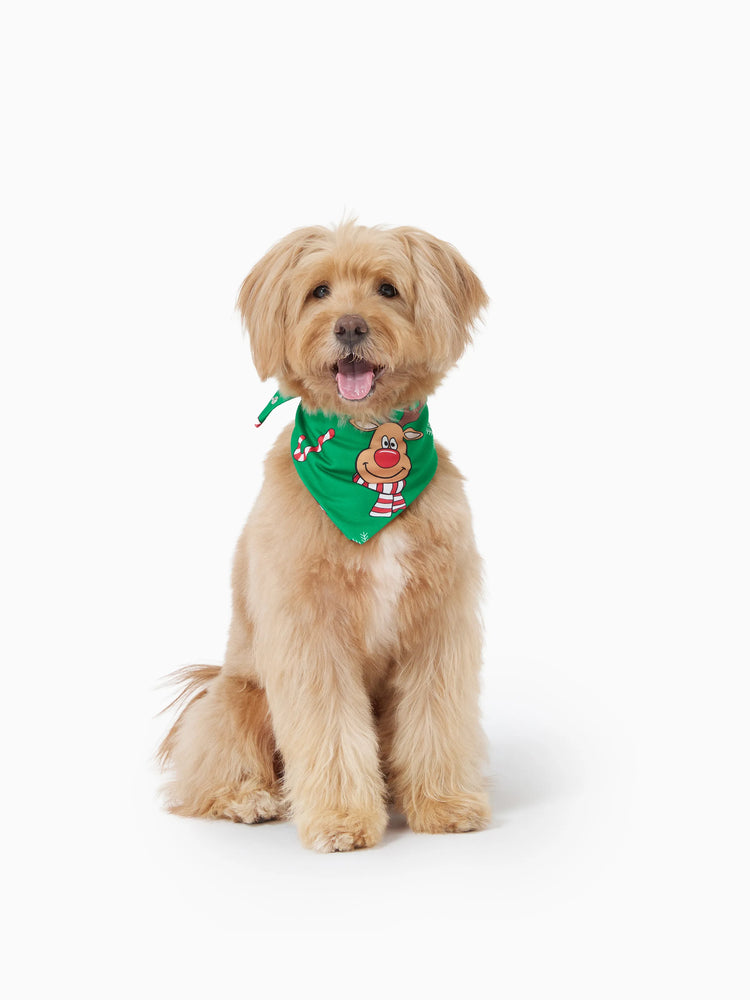 Green Christmas Family Pajamas Sets 3D Reindeer Hooded Allover Print Onesies Green