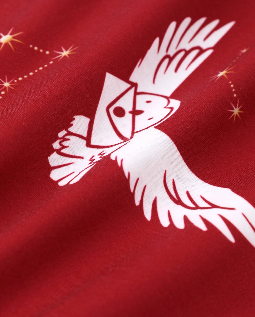Harry Potter Family Matching 2pcs Christmas Owl Pattern Lapel Long-sleeve Pajamas Set (Flame Resistant) MultiColour