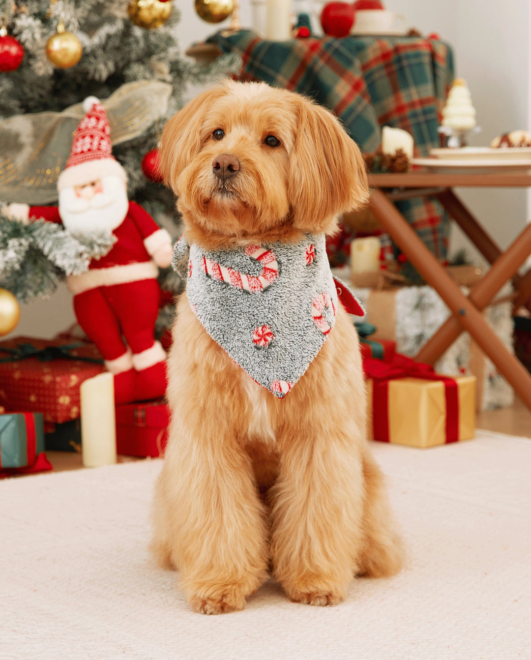 Pijamas de una pieza a juego con trajes navideños, estampado de bastón de caramelo (brillan en la oscuridad) y calcetines navideños negros.