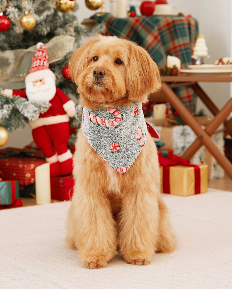 Pijamas de una pieza a juego con trajes navideños, estampado de bastón de caramelo (brillan en la oscuridad) y calcetines navideños negros.