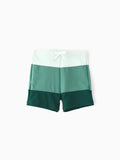 Toddler Boy Colorblock Swim Trunks MultiColour