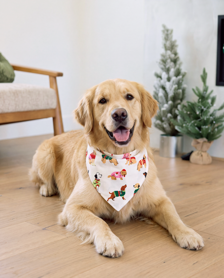 PatPat Family Matching Christmas Pajamas Festive Dog Print Cream