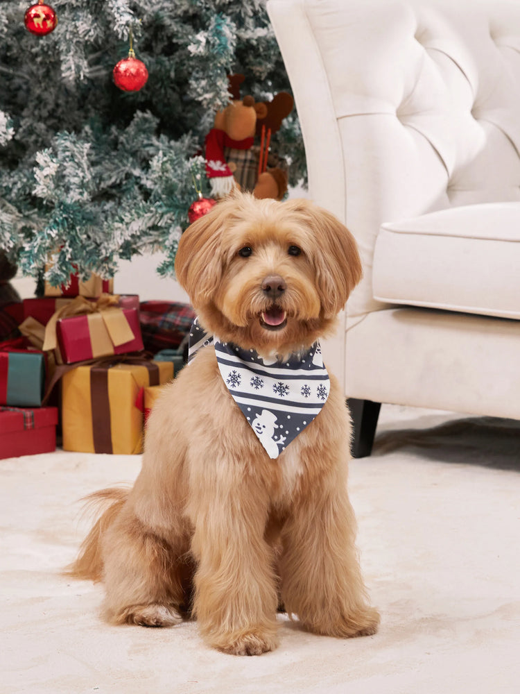 Pyjama de Noël assorti, motif bonhomme de neige, manches longues, chaussettes de Noël, gris foncé