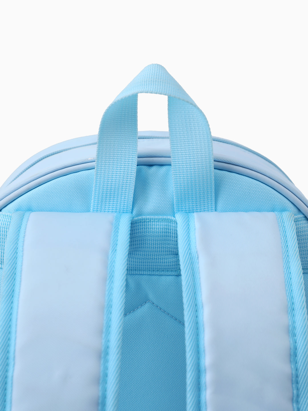 Disney Frozen Toddler Girl Elsa Backpack with Chest Strap & Bottle Pockets Blue
