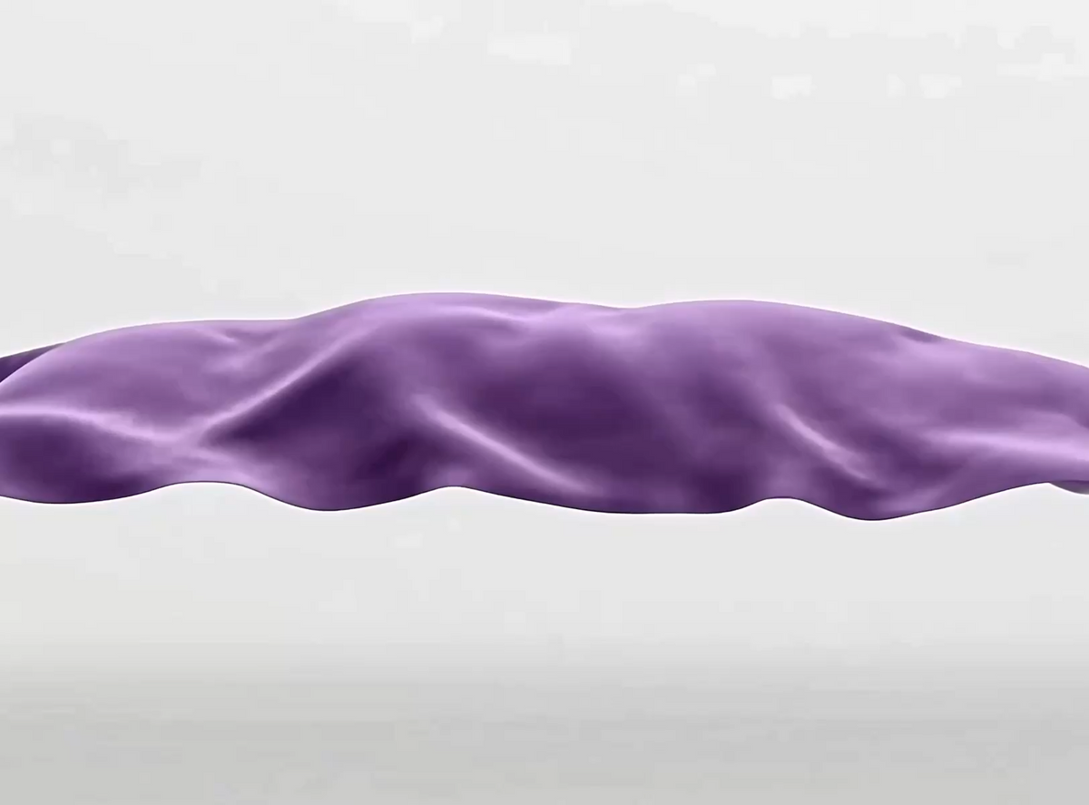 MoveFlex™