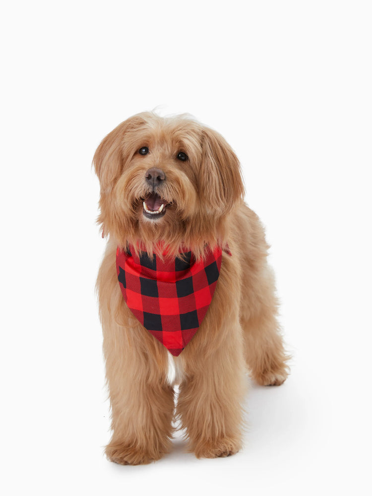 Ensemble pyjama de Noël assorti pour toute la famille, imprimé Père Noël, manches raglan et chaussettes de Noël (certifié SGS) rouge