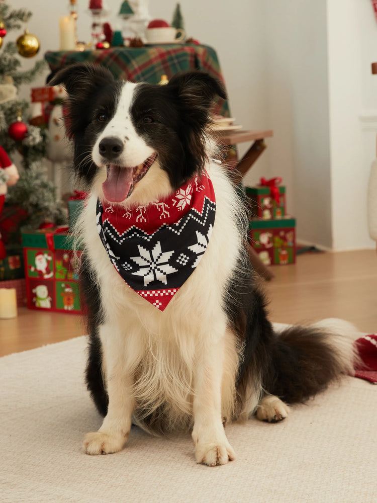 Ensemble pyjama assorti pour toute la famille avec imprimé renne de Noël et chaussettes de Noël noires