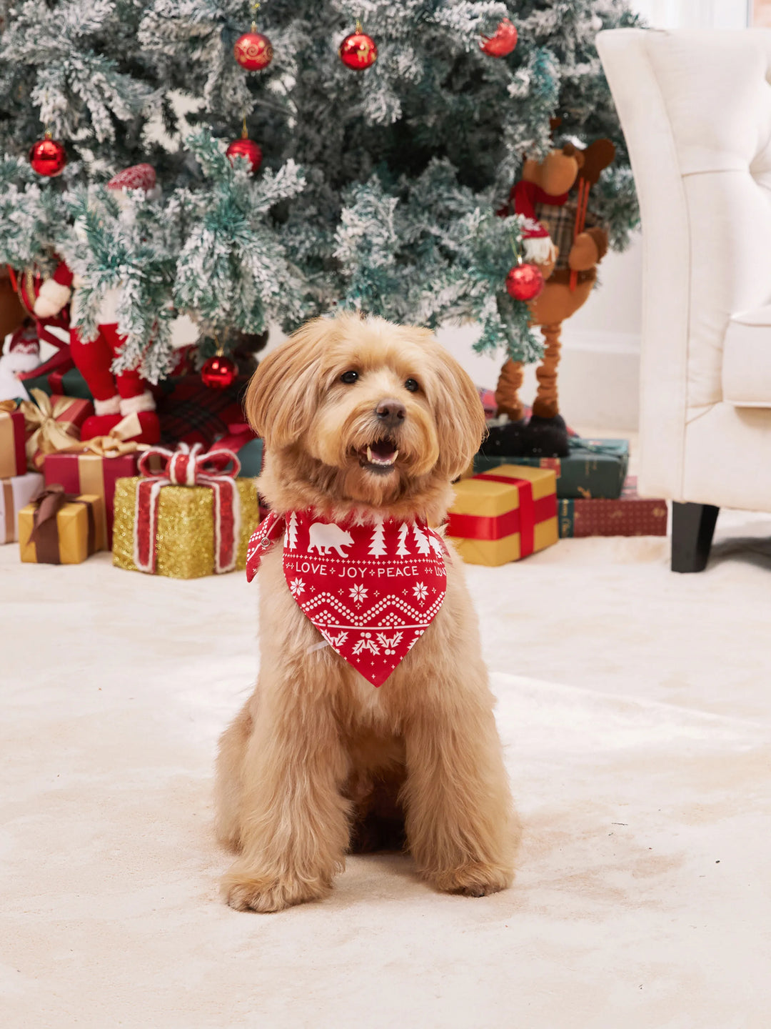 Pijamas familiares a juego con estampado navideño tradicional y calcetines navideños rojos