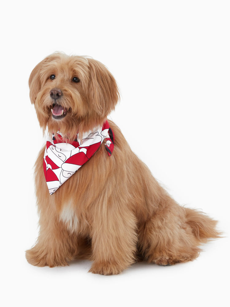 Pijama familiar navideño a juego con estampado gráfico de Papá Noel grande en la parte delantera y trasera, con bolsillos y cordón, color rojo 2