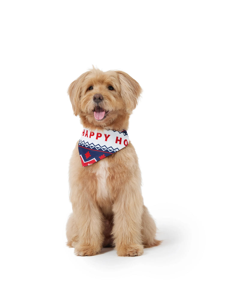 Christmas Matching Family Pajamas Set 3D Reindeer Hooded Allover Snowflake Print Red and Blue Onesie PJS with Christmas Socks Red-2