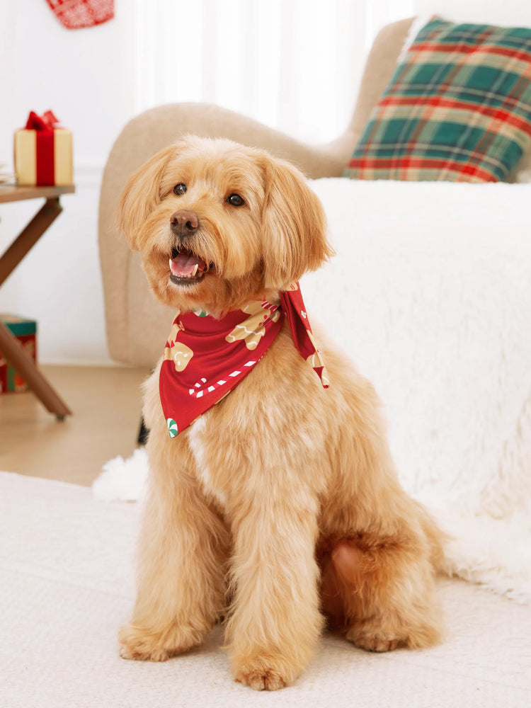 Christmas Family Matching Pajamas Sets Gingerbread Man Pattern Onesies Red-2