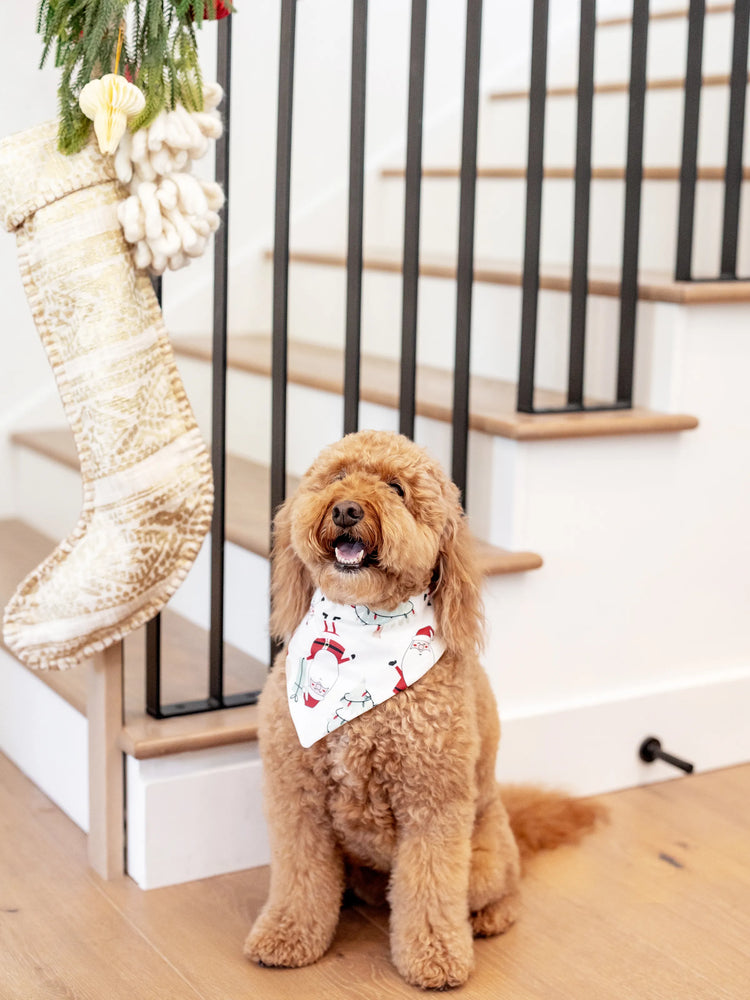 Ensemble pyjama de Noël assorti pour toute la famille, imprimé gnome blanc, avec chaussettes de Noël blanches