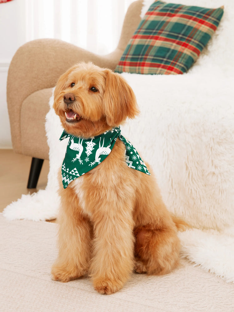 Weihnachtliche Familien-Matching-Pyjamas mit leuchtendem Rentier-Print, Allover-Muster-Hose und Weihnachtssocken, schwarzgrün