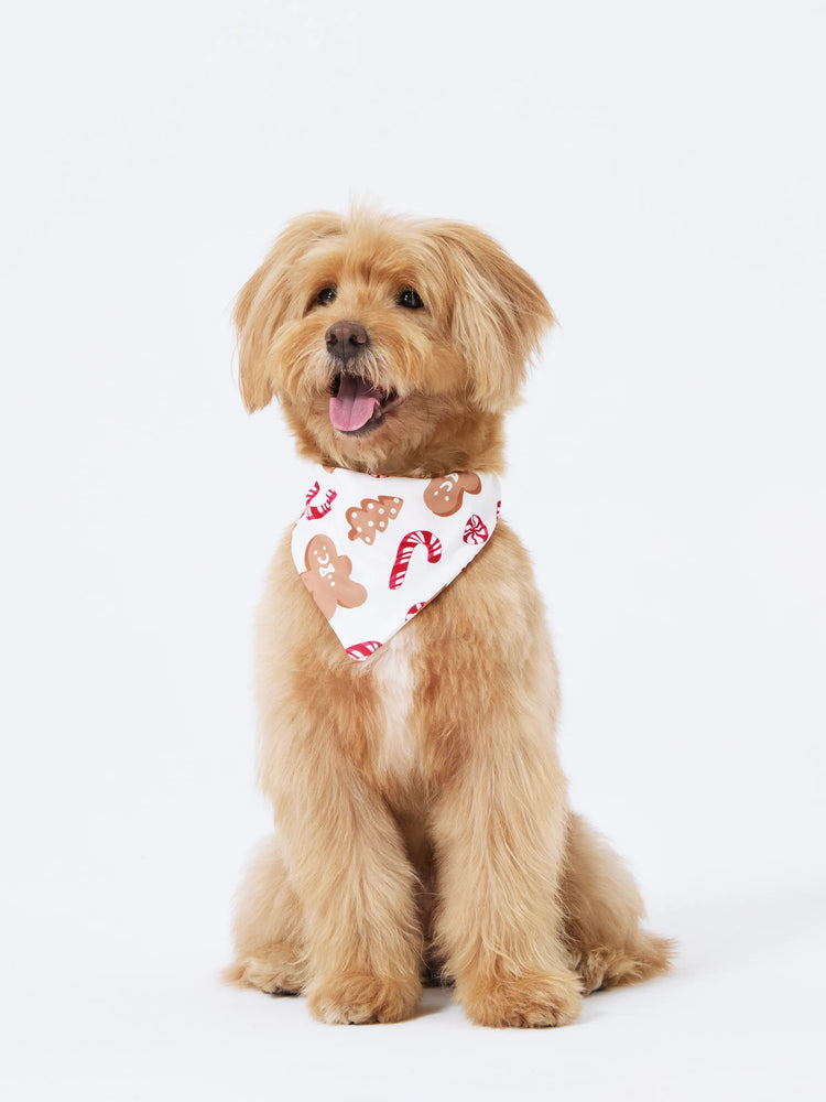 Ensemble pyjama de Noël assorti pour toute la famille, imprimé pain d'épices et cannes de bonbon, avec chaussettes de Noël rouges