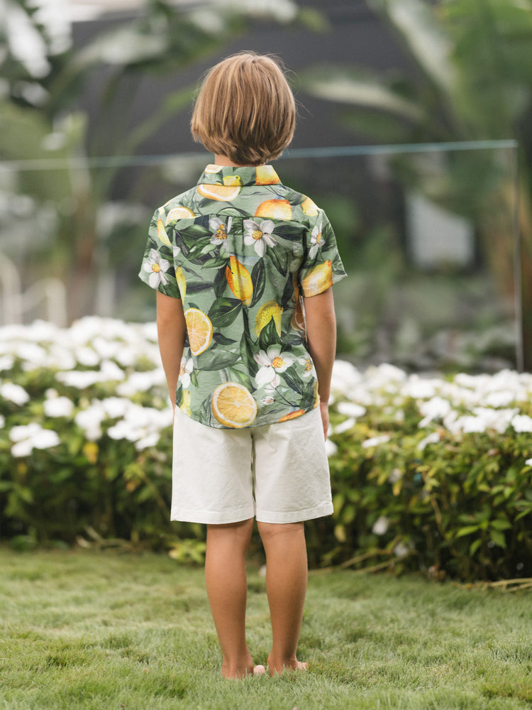 Matching Family Outfits Lemon Print Hawaiian Shirts & Summer Dresses Tropical Vacation Clothes for Men, Women & Kids Green