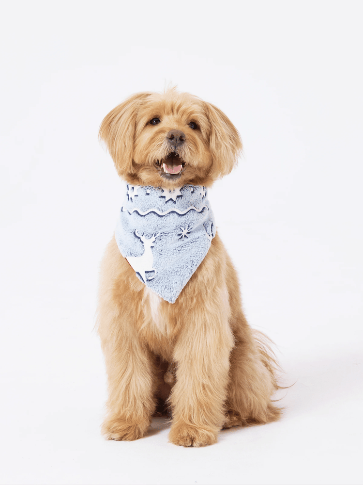 Pyjama de Noël assorti pour toute la famille, imprimé renne, phosphorescent, avec chaussettes de Noël, blanc/gris