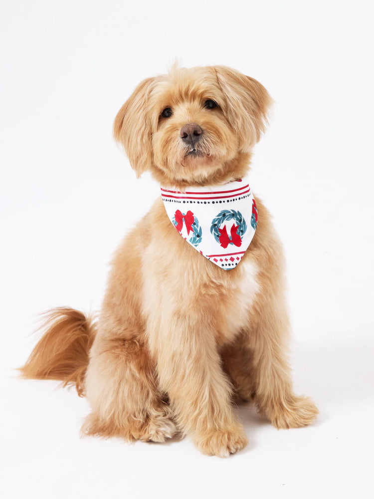 Ensemble pyjama de Noël assorti pour toute la famille, imprimé élan et clochette, rayé, avec chaussettes de Noël blanches