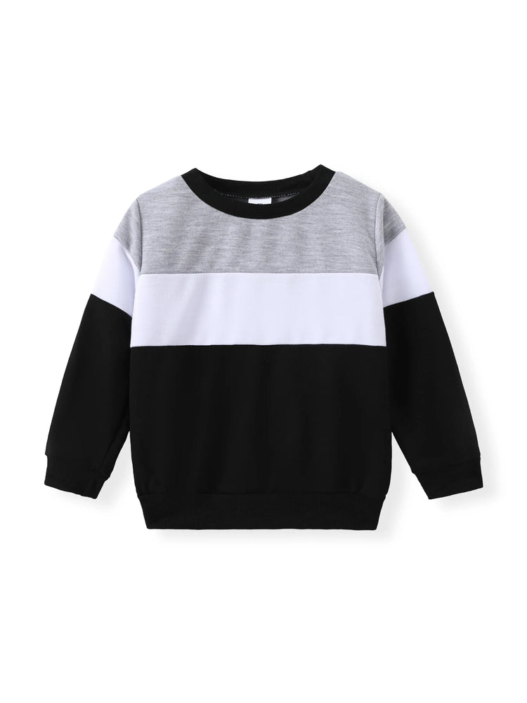 Toddler Boy 2pcs Colorblock Sweatshirt and Pants Set Black